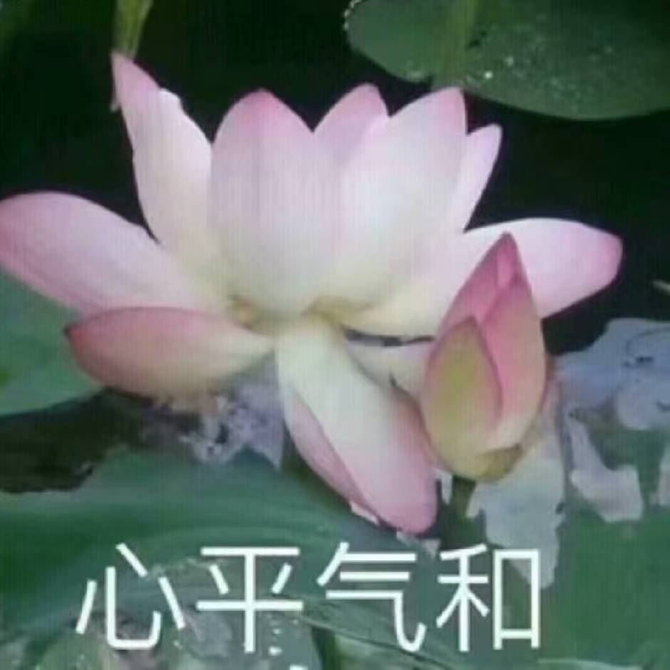 站点LOGO